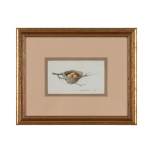 Framed Watercolor- Eggs in Nest on a Branch, signed 'Carolyn Knight'