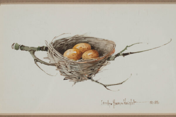 Framed Watercolor- Eggs in Nest on a Branch, signed 'Carolyn Knight' - Image 5