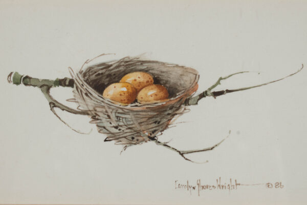 Framed Watercolor- Eggs in Nest on a Branch, signed 'Carolyn Knight' - Image 6