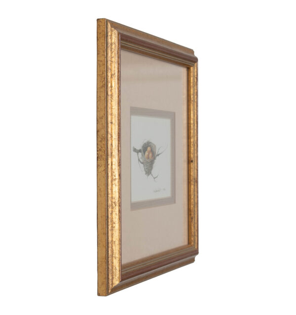 Framed Watercolor- Eggs in Nest on a Branch, signed 'Carolyn Knight' - Image 2