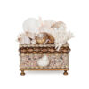 ornate shell box with lid