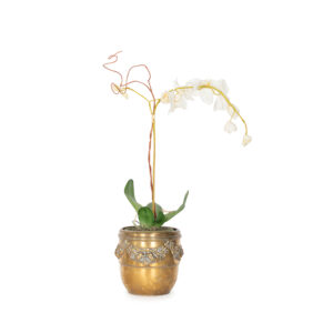 English Brass Cachepot with Floral Swag Decoration