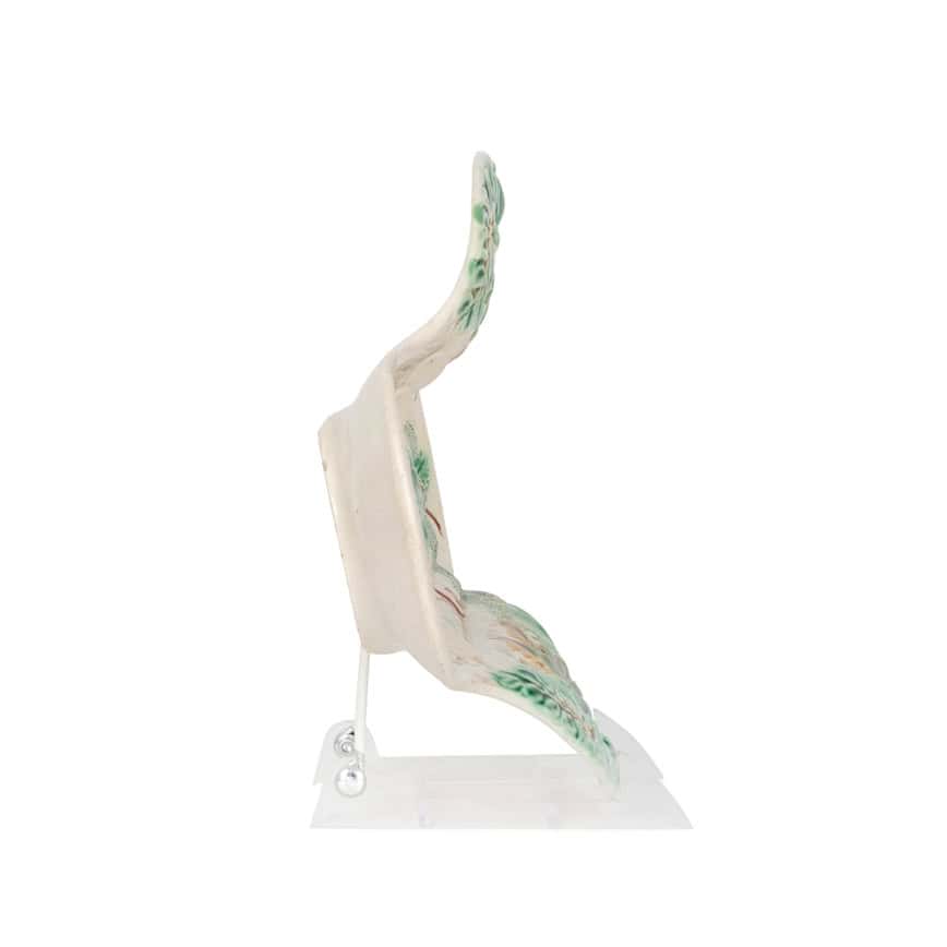 French Majolica Asparagus Tray - Image 5