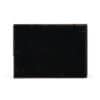 Dutch Tortoise Box with Brass Key - Image 16